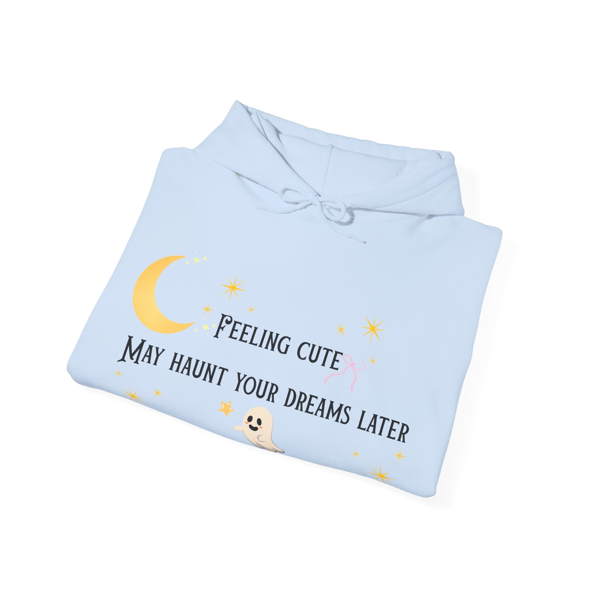 Hoodie — Moon & Stars “Feeling Cute May Haunt Your Dreams Later” Graphic