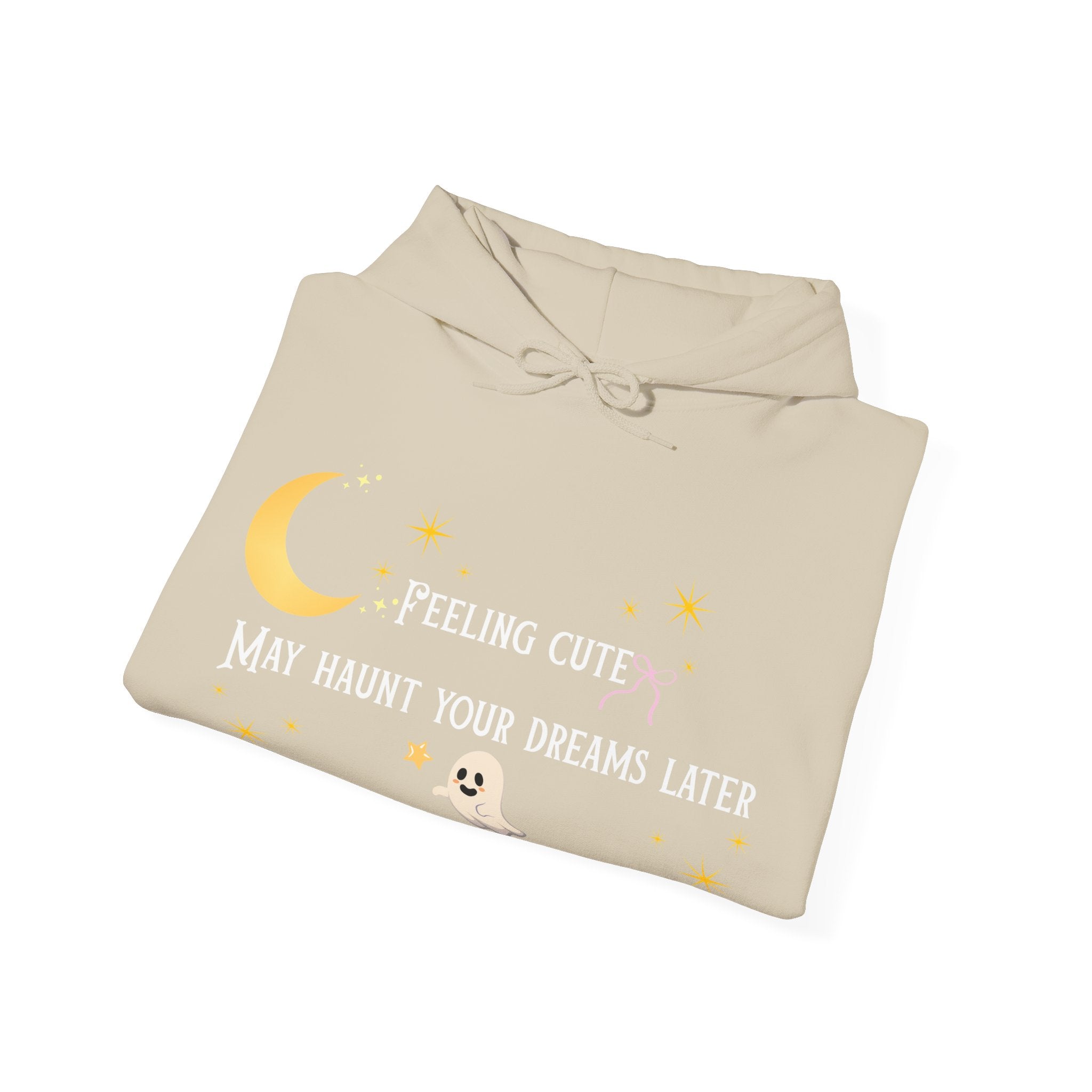 Hoodie — Moon & Stars “Feeling Cute May Haunt Your Dreams Later” Graphic
