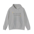 Manifesting Hoodie — "Don't Talk to Me I'm Manifesting" Spiritual Cozy Pullover