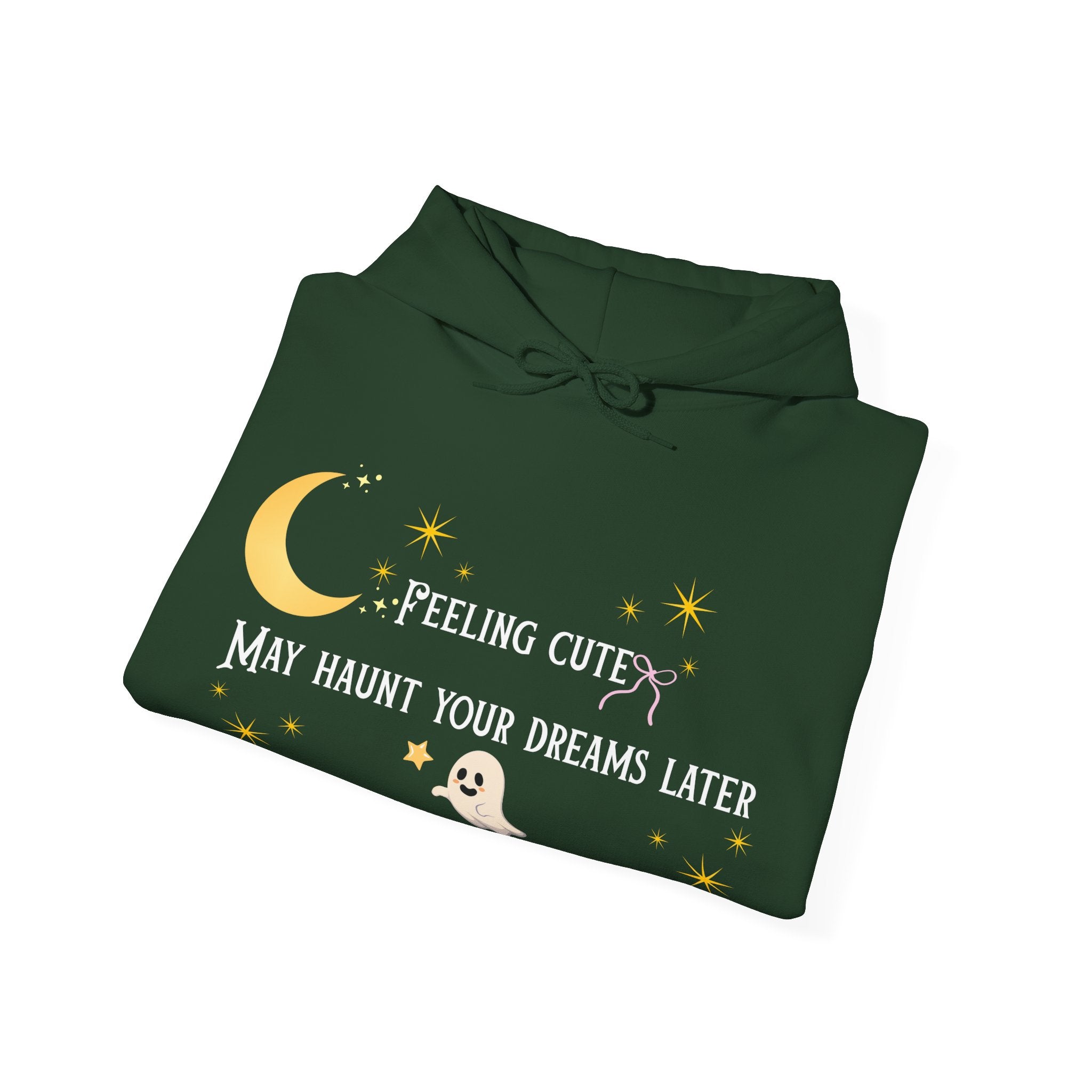 Hoodie — Moon & Stars “Feeling Cute May Haunt Your Dreams Later” Graphic
