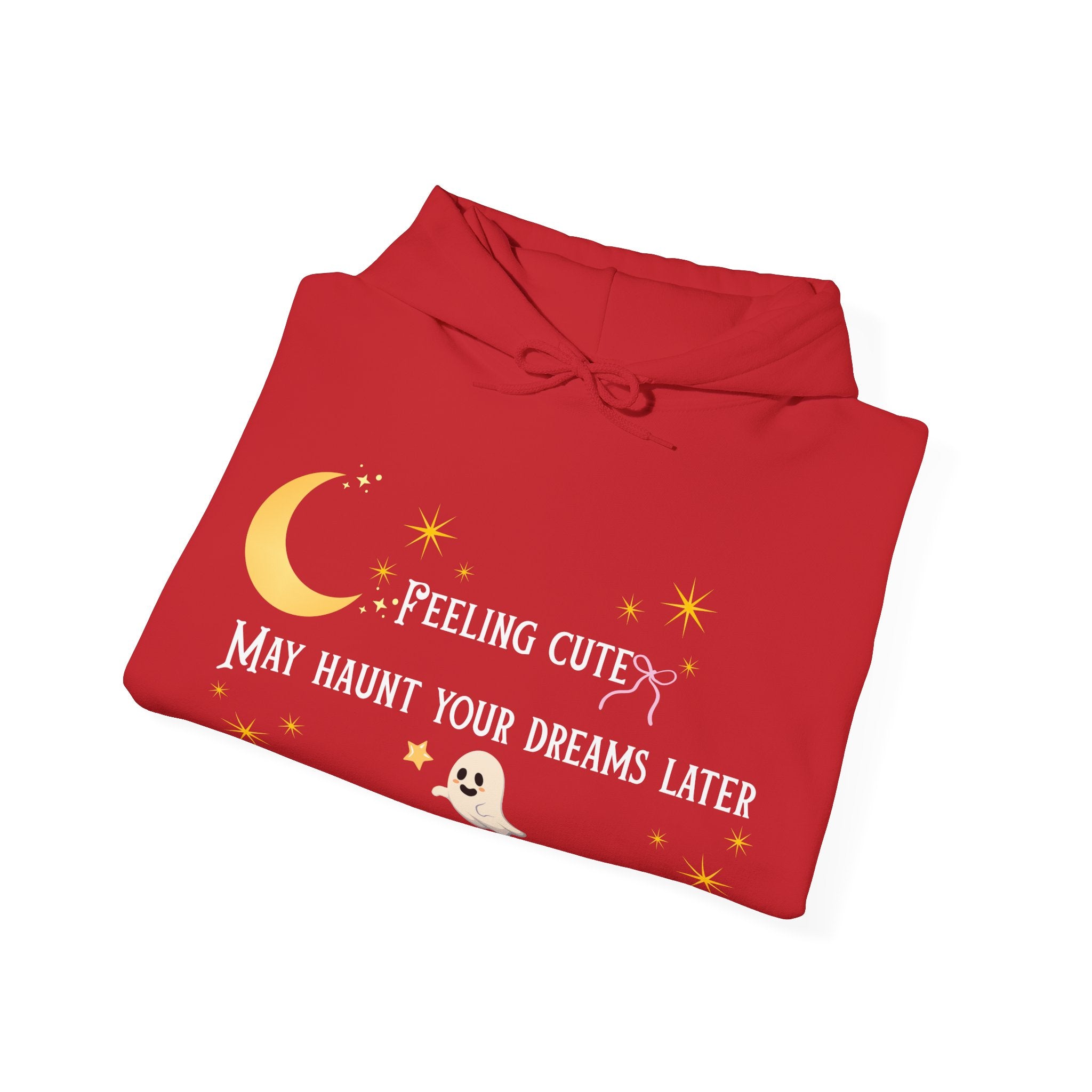 Hoodie — Moon & Stars “Feeling Cute May Haunt Your Dreams Later” Graphic