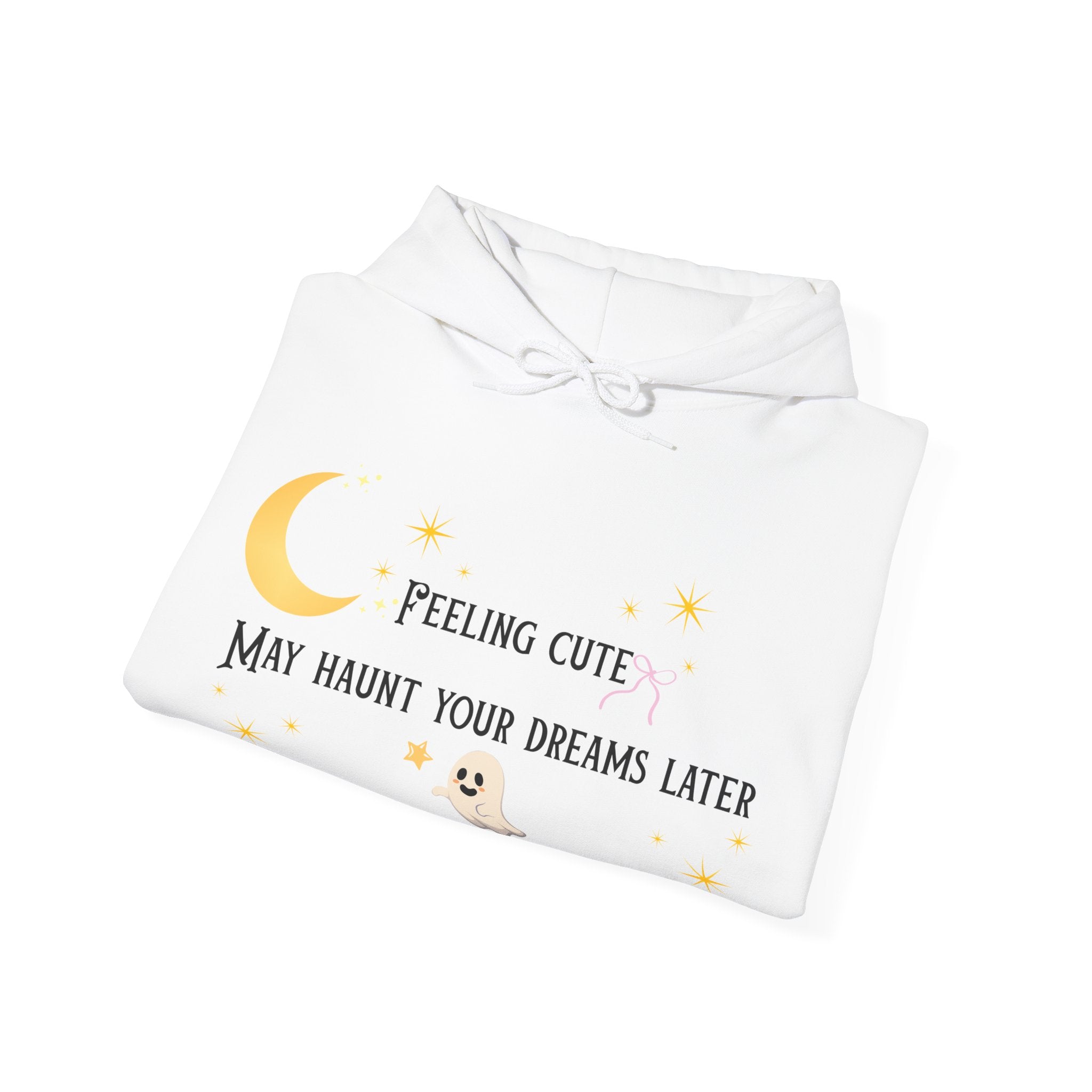 Hoodie — Moon & Stars “Feeling Cute May Haunt Your Dreams Later” Graphic