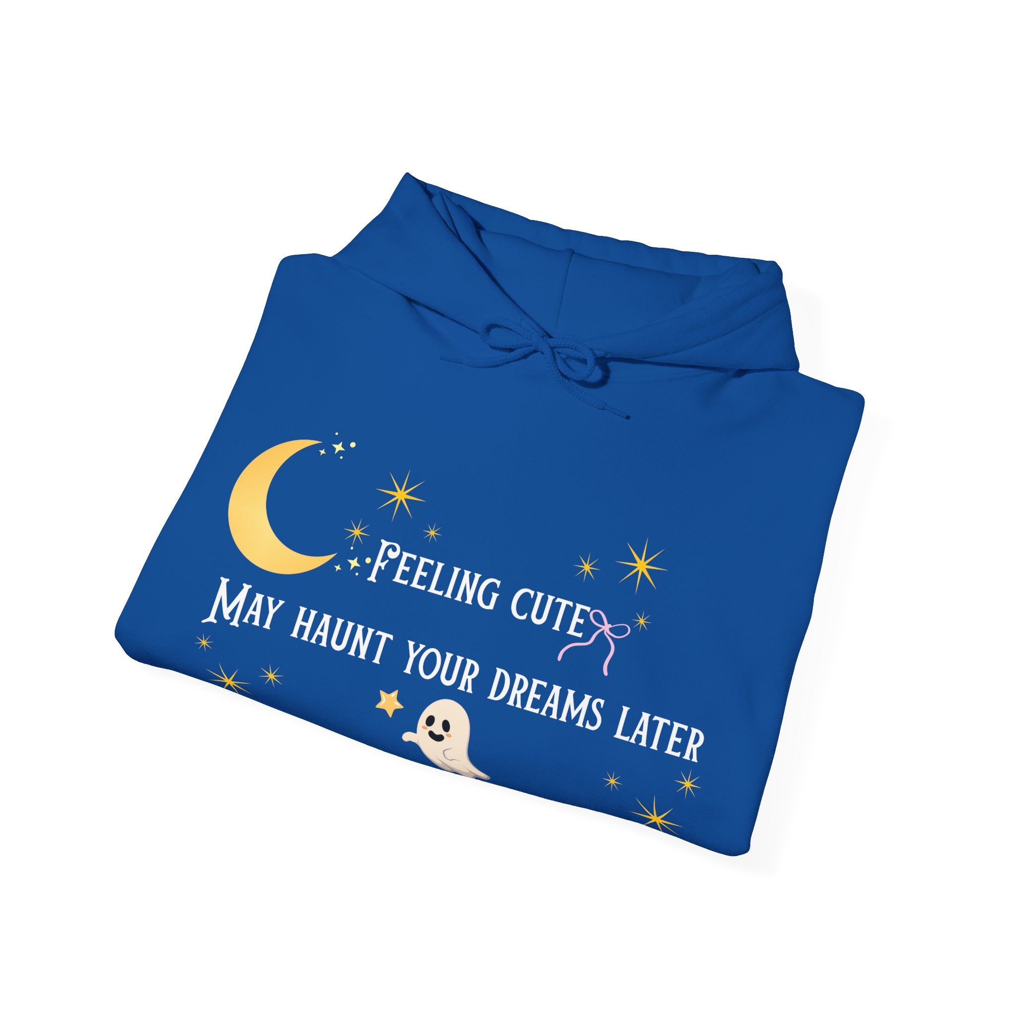 Hoodie — Moon & Stars “Feeling Cute May Haunt Your Dreams Later” Graphic